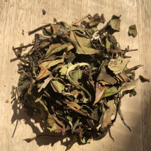 Pai Mu Tan